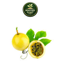 A yellow百香果 (passion fruit) whole and halved with green leaves, shown on a white background with a 'Rooted Plant' logo at the top.