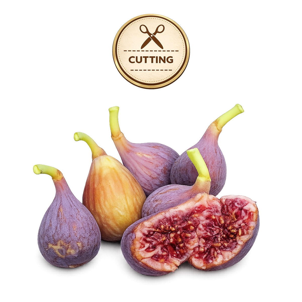 Several fresh figs with purple skins and pale green stems are arranged on a white background, with one fig cut open to show the red-purple seed interior. A circular gold badge at the top reads “CUTTING” with scissors icon.