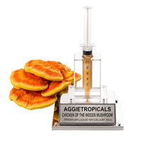 A liquid mycelium training kit for Aggietropicals, featuring a clear acrylic syringe with a beige liquid level indicator, a clear acrylic stand, and a silver base engraved with 'AGGietropicals CHICKEN OF THE WOODS MUSHROOM PREMIUM LIQUID MYCELium 10cc'. To the left of the stand are several fresh orange and yellow chicken of the woods mushrooms used as a visual indicator of mycelium growth.