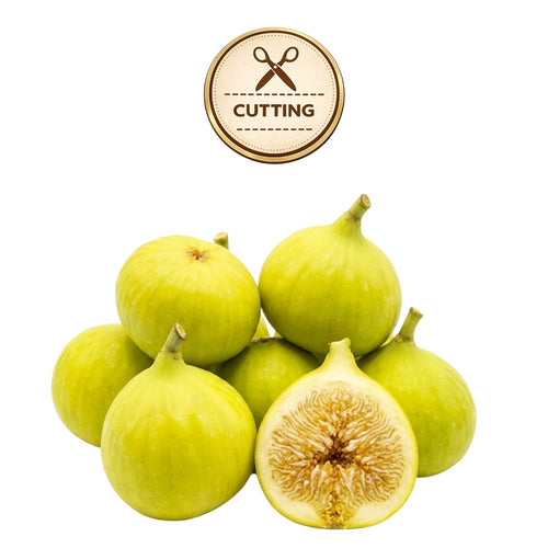 A pile of green figs on a white background, with one fig cut in half to show the inside. A circular badge at the top reads “CUTTING” with a scissors icon.