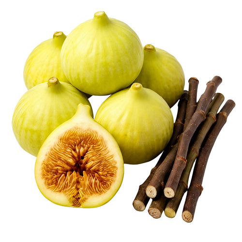 Fresh green figs with one cut open to show the orange-brown interior, alongside several dark brown fig stems, isolated on a white background.