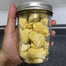 Load image into Gallery viewer, Freeze-Dried Lion's Mane Mushroom
