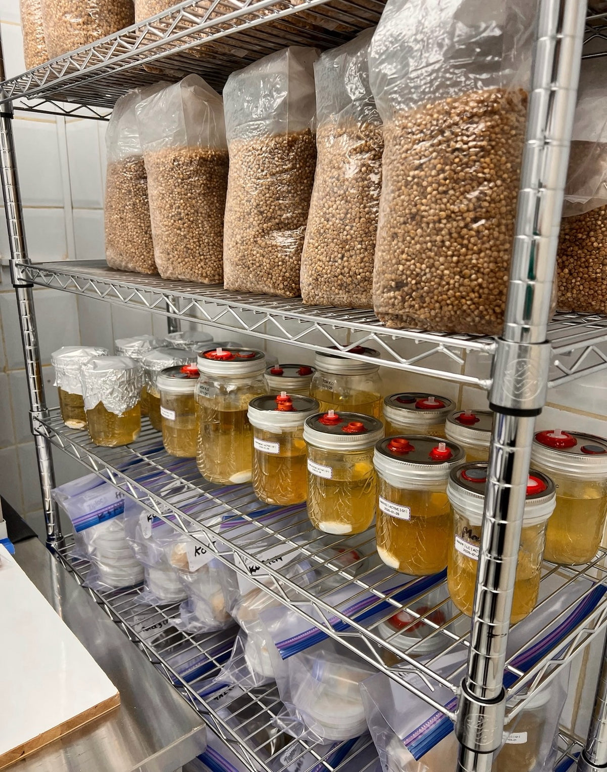 A metal shelving unit in a storage room holds several clear plastic bags filled with tan seeds or grains on the top shelves, and multiple glass jars containing a yellow liquid with red lids on the lower shelves. Some bags are covered with white cloth, and small plastic bags sit on the bottom shelf.