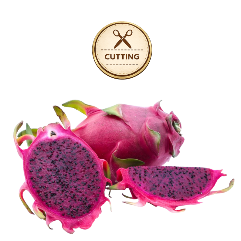 Three purple haze dragon fruit pieces on a white background: one whole fruit, one sliced open showing dark purple flesh with black seeds, and one thick slice. A circular gold badge above reads 'CUTTING' with scissors icon.