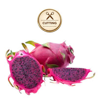 Three purple haze dragon fruit pieces on a white background: one whole fruit, one sliced open showing dark purple flesh with black seeds, and one thick slice. A circular gold badge above reads 'CUTTING' with scissors icon.