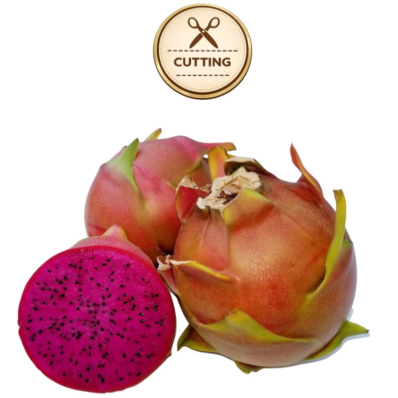 Three Shayna  dragon fruit fruits on a white background, with one cut open to show the bright magenta flesh and black seeds. A circular badge above reads 'CUTTING' with scissors icon.