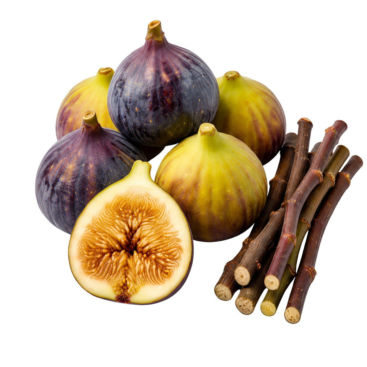 A cluster of whole and halved figs with several brown fig stems on a plain white background.