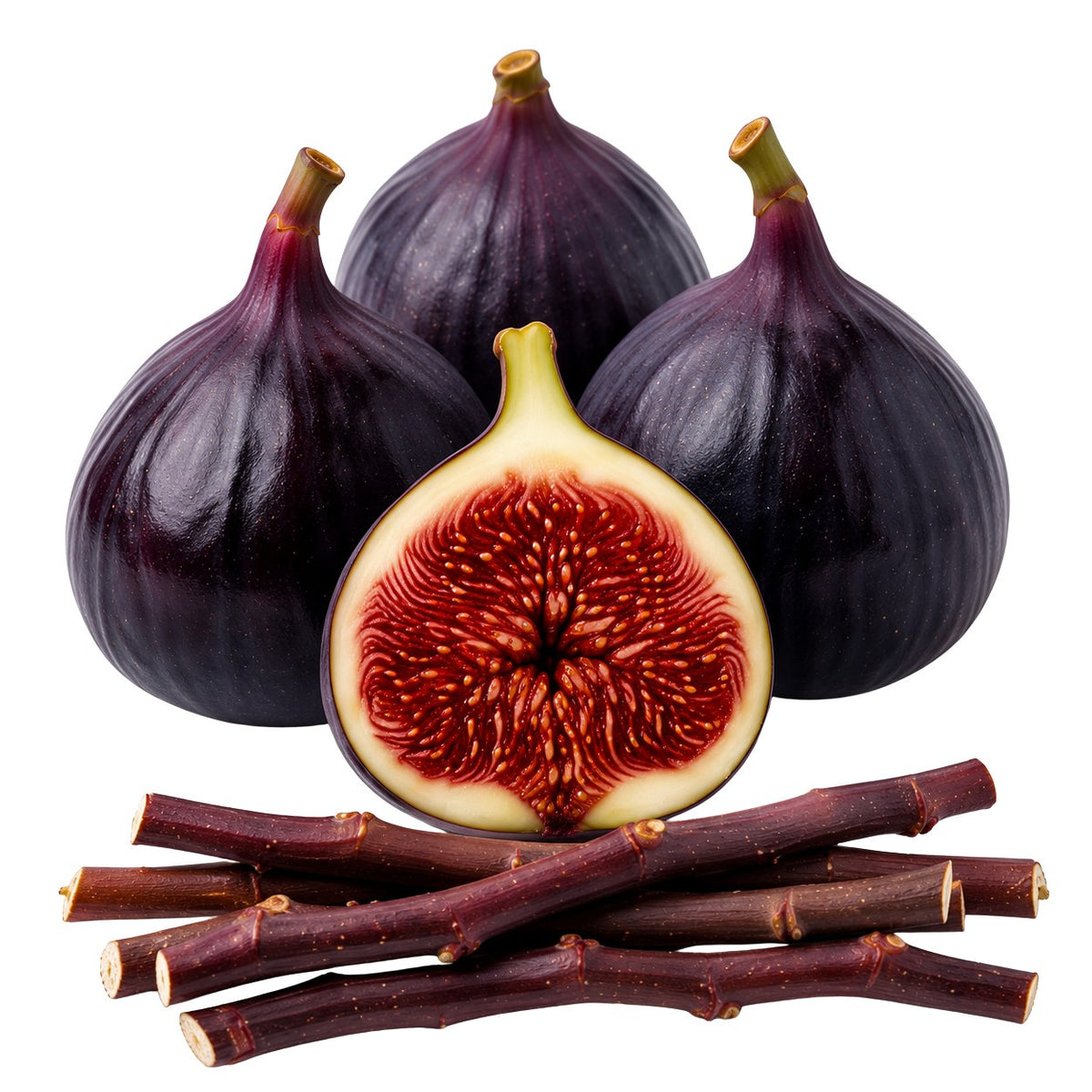 Four dark purple whole figs with stems, one cut open in half showing red-brown flesh and seeds, and several brown fig stems arranged in front, isolated on a white background.