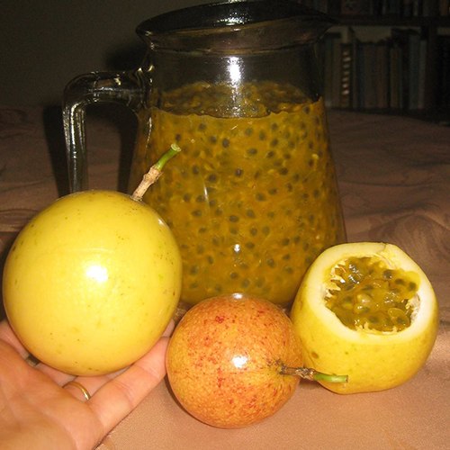 Sweet yellow passion fruit juice at aggietropicals