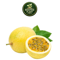 A yellow passion fruit shown whole and halved to reveal its black seeds and orange-yellow pulp, with green leaves, on a white background. A circular 'Rooted Plant' logo is displayed at the top.