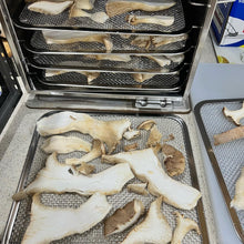 Load image into Gallery viewer, Dried King Oyster Mushroom
