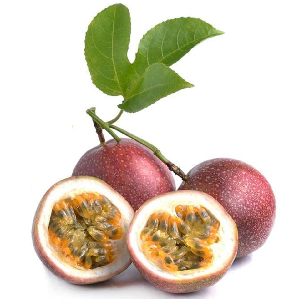 Purple passion fruit passiflora edulis live plant that are self fertile