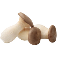 Load image into Gallery viewer, King Oyster Mushroom

