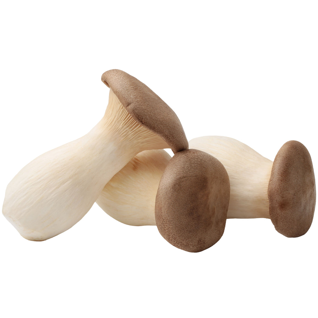 King Oyster Mushroom
