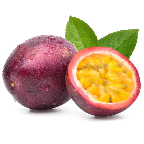 Purple passion fruit seedling photo