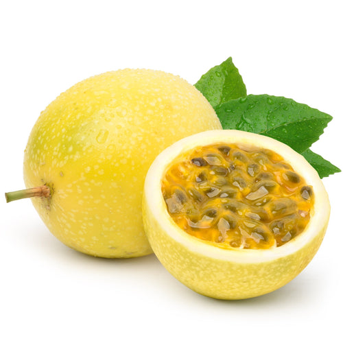 Yellow passion fruit seedling live plant