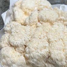 Load image into Gallery viewer, Lion&#39;s Mane Mushroom
