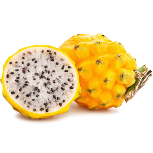 Palora yellow dragon fruit plant sweet beautiful asian fruit that is self pollinating